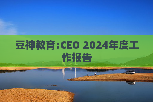 豆神教育:CEO 2024年度工作报告  第1张