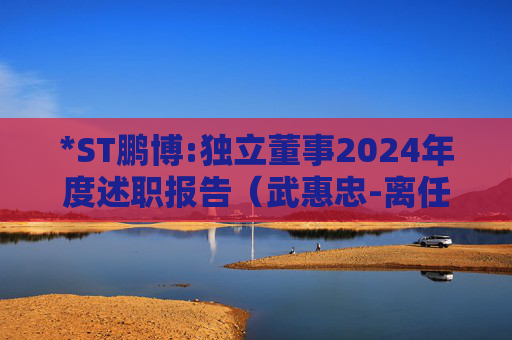 *ST鹏博:独立董事2024年度述职报告(武惠忠-离任)