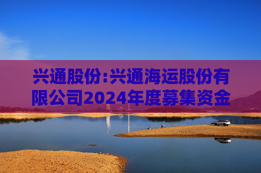 兴通股份:兴通海运股份有限公司2024年度募集资金存放与实际使用情况专项报告