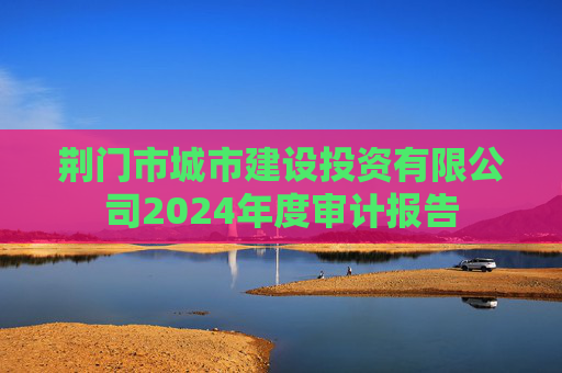 荆门市城市建设投资有限公司2024年度审计报告
