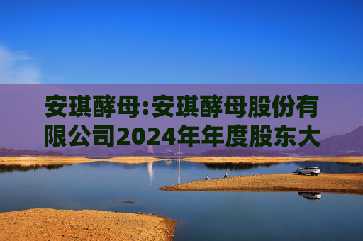 安琪酵母:安琪酵母股份有限公司2024年年度股东大会决议公告