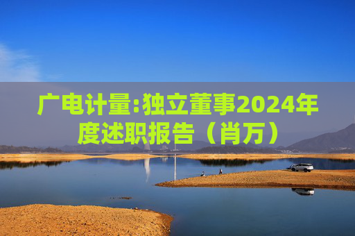 广电计量:独立董事2024年度述职报告(肖万)