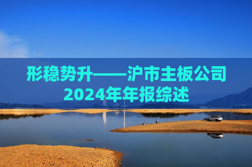 形稳势升——沪市主板公司2024年年报综述  第1张
