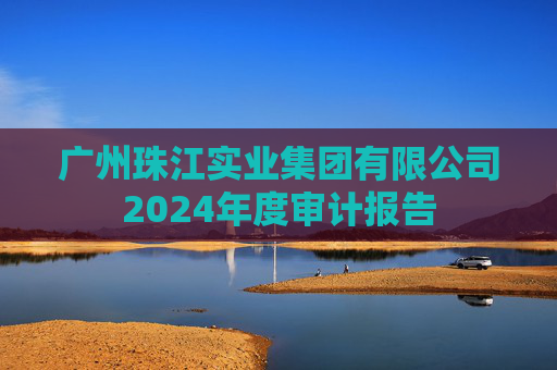 广州珠江实业集团有限公司2024年度审计报告  第1张