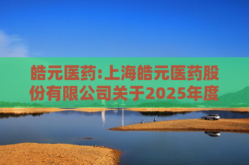 皓元医药:上海皓元医药股份有限公司关于2025年度日常关联交易预计的公告