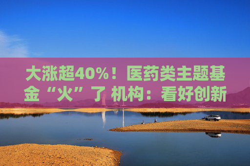 大涨超40%！医药类主题基金“火”了 机构：看好创新药投资机会  第1张