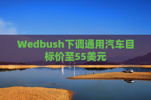 Wedbush下调通用汽车目标价至55美元  第1张