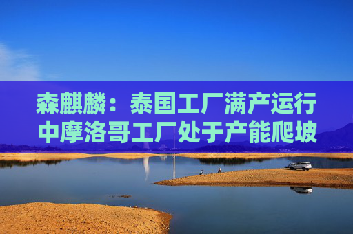 森麒麟：泰国工厂满产运行中摩洛哥工厂处于产能爬坡状态  第1张