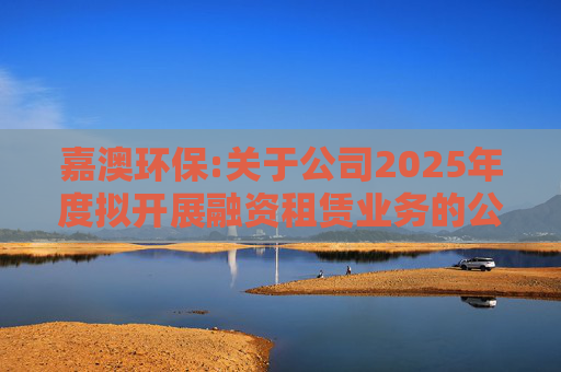 嘉澳环保:关于公司2025年度拟开展融资租赁业务的公告  第1张
