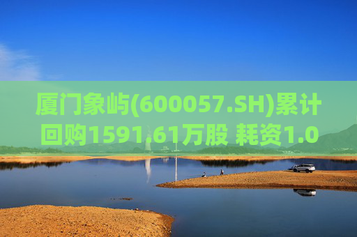 厦门象屿(600057.SH)累计回购1591.61万股 耗资1.03亿元 第1张 厦门象屿(600057.SH)累计回购1591.61万股 耗资1.03亿元 第1张