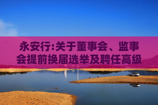 永安行:关于董事会、监事会提前换届选举及聘任高级管理人员的公告