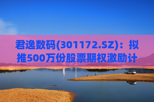 君逸数码(301172.SZ)：拟推500万份股票期权激励计划