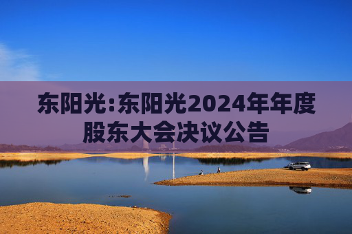 东阳光:东阳光2024年年度股东大会决议公告  第1张