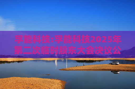 孚能科技:孚能科技2025年第二次临时股东大会决议公告  第1张