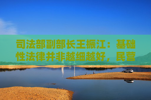 司法部副部长王振江：基础性法律并非越细越好，民营经济促进法为未来实践发展留有空间