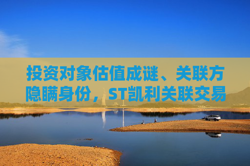 投资对象估值成谜、关联方隐瞒身份，ST凯利关联交易还有哪些“黑洞”？  第1张