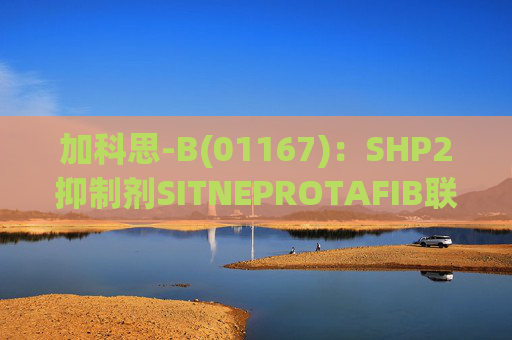 加科思-B(01167):SHP2抑制剂SITNEPROTAFIB联用研究数据发表于学术期刊