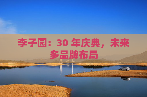 李子园:30 年庆典,未来多品牌布局 第1张 李子园:30 年庆典,未来多品牌布局 第1张