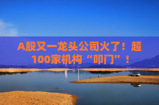 A股又一龙头公司火了!超100家机构“叩门”!