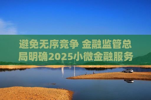 避免无序竞争 金融监管总局明确2025小微金融服务新目标