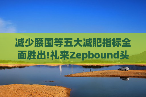 减少腰围等五大减肥指标全面胜出!礼来Zepbound头对头试验碾压诺和诺德(NVO.US)Wegovy  第1张