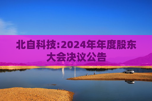 北自科技:2024年年度股东大会决议公告  第1张