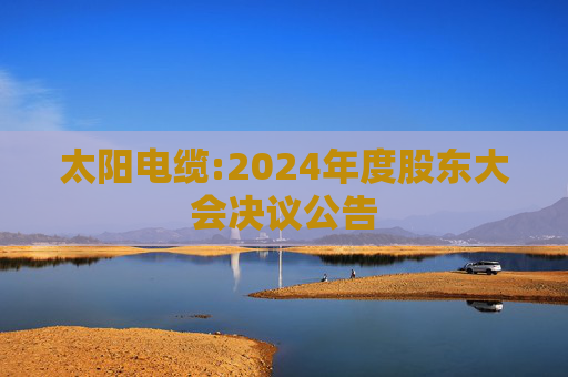 太阳电缆:2024年度股东大会决议公告  第1张
