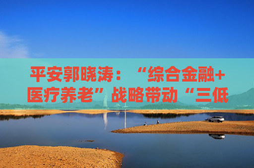 平安郭晓涛：“综合金融+医疗养老”战略带动“三低一高”和“三差”优化