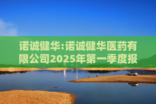 诺诚健华:诺诚健华医药有限公司2025年第一季度报告  第1张