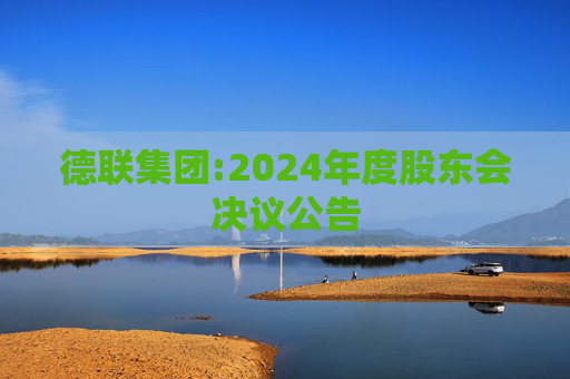 德联集团:2024年度股东会决议公告