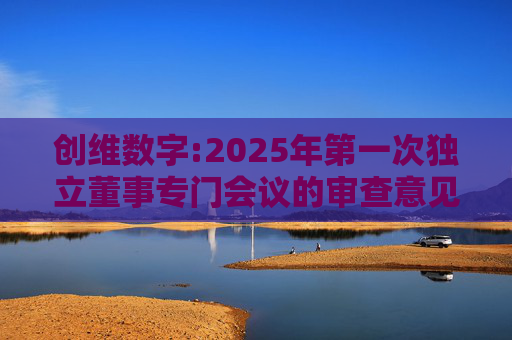 创维数字:2025年第一次独立董事专门会议的审查意见