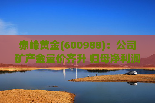 赤峰黄金(600988)：公司矿产金量价齐升 归母净利润创历史新高