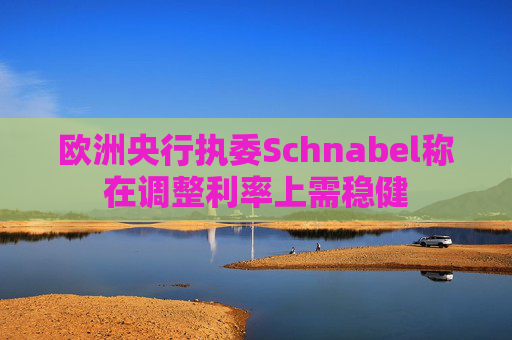 欧洲央行执委Schnabel称在调整利率上需稳健  第1张