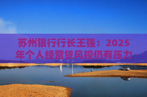 苏州银行行长王强：2025年个人经营贷风控仍有压力，但不会造成冲击