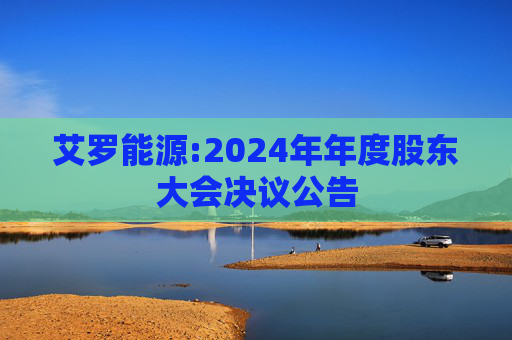 艾罗能源:2024年年度股东大会决议公告