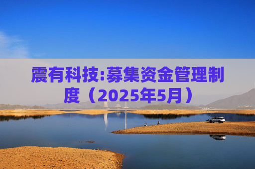震有科技:募集资金管理制度（2025年5月）
