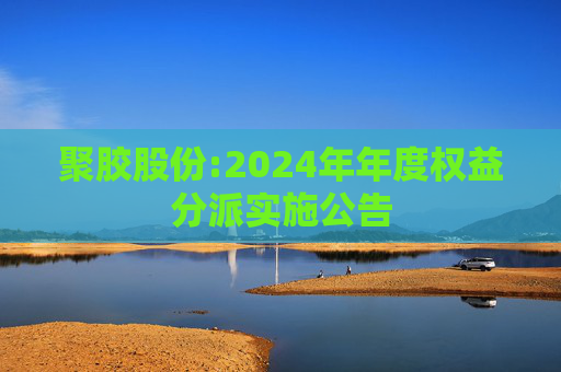 聚胶股份:2024年年度权益分派实施公告