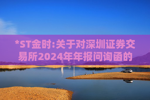 *ST金时:关于对深圳证券交易所2024年年报问询函的回复  第1张