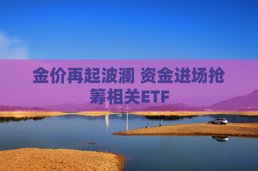 金价再起波澜 资金进场抢筹相关ETF