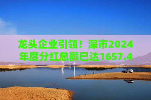 龙头企业引领！深市2024年度分红总额已达1657.47亿元  第1张