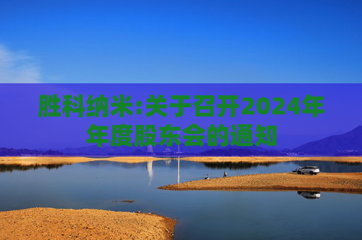 胜科纳米:关于召开2024年年度股东会的通知  第1张