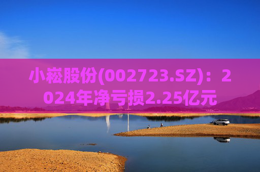 小崧股份(002723.SZ)：2024年净亏损2.25亿元  第1张