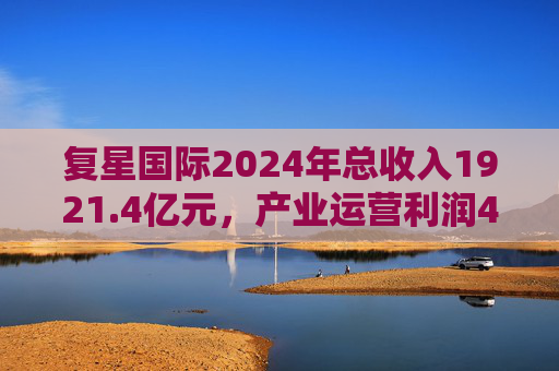 复星国际2024年总收入1921.4亿元,产业运营利润49亿元 第1张 复星国际2024年总收入1921.4亿元,产业运营利润49亿元 第1张