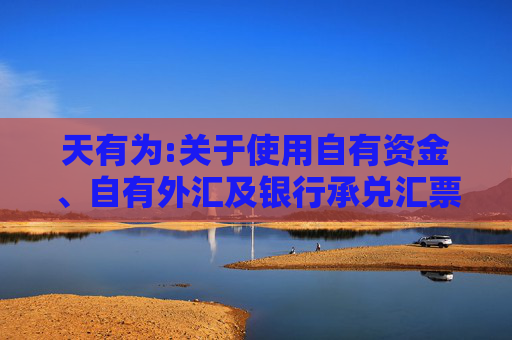 天有为:关于使用自有资金、自有外汇及银行承兑汇票等方式支付募投项目部分款项并以募集资金等额置换的公告  第1张