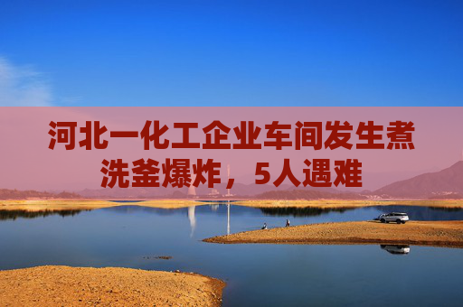 河北一化工企业车间发生煮洗釜爆炸,5人遇难 第1张 河北一化工企业车间发生煮洗釜爆炸,5人遇难 第1张