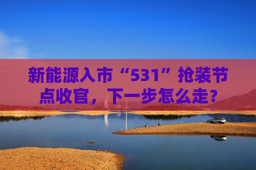 新能源入市“531”抢装节点收官，下一步怎么走？