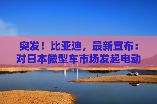 突发！比亚迪，最新宣布：对日本微型车市场发起电动车攻击  第1张