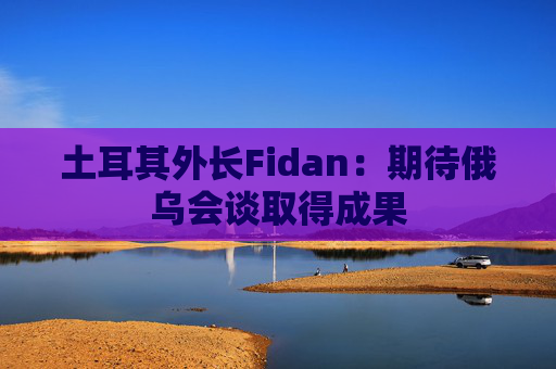 土耳其外长Fidan：期待俄乌会谈取得成果