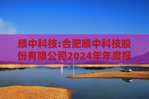 颀中科技:合肥颀中科技股份有限公司2024年年度报告
