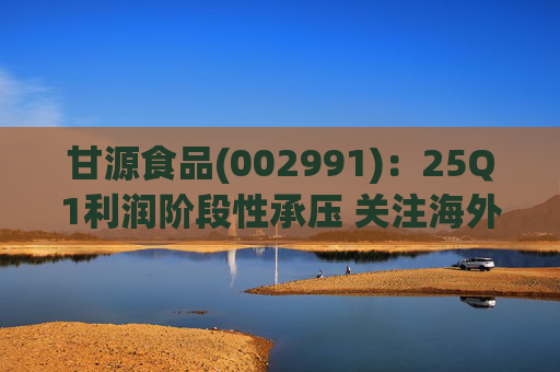 甘源食品(002991)：25Q1利润阶段性承压 关注海外市场突破